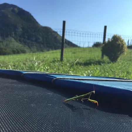 Apartment Caserio Ipintza Berri *