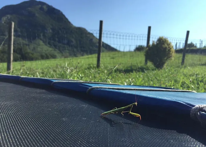 Lägenhet Caserio Ipintza Berri *